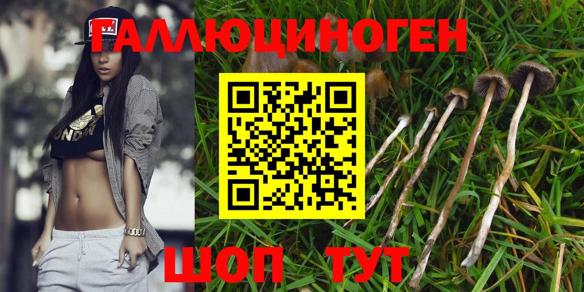 Ульяновск  Псилоцибиновые грибы Magic Shrooms  Вход с VPN 