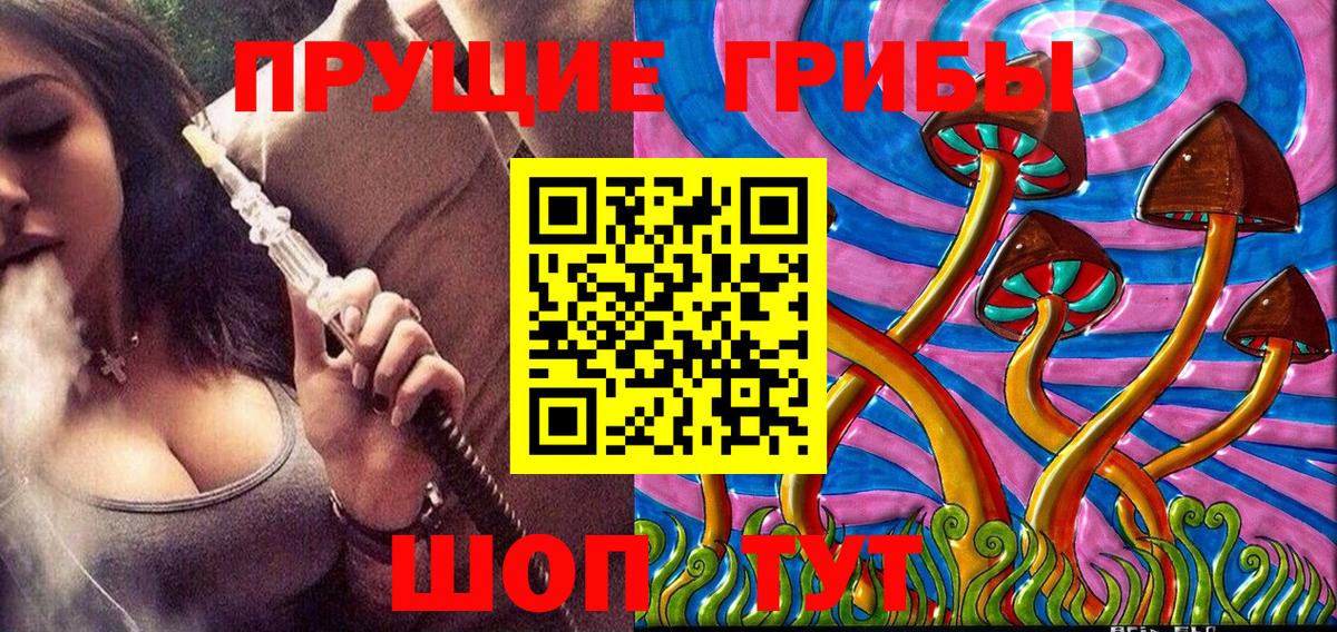Псилоцибиновые грибы GOLDEN TEACHER Ульяновск